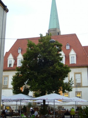 Linde Alter Markt Bielefeld