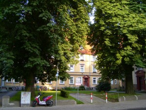 Kastanien Meller Straße Bielefeld