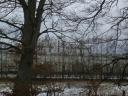 Buchen Strothbachwald