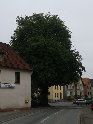 Oerlinghausen-Kastanienkrug
