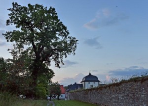 Dalheim_vor der Mauer_01_neu