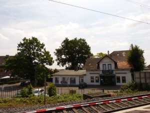 Der größte Baum südlich vom Braker Bahnhof: Blick vom Bahnsteig