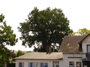 Blick von der Naggertstraße