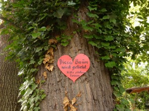 "Dieser Baum wird geliebt. Bitte stehen lassen."