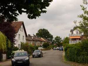 Ein ortsbildprägender Baum: Blick von der südlichen Maagshofstraße