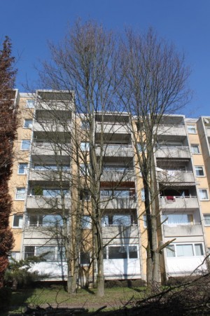 Ahorn-Plattenbau3